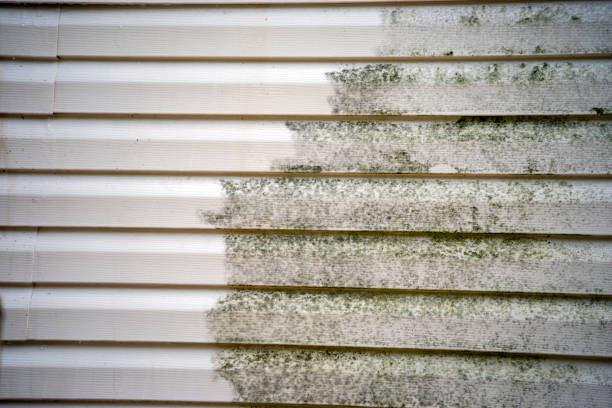 Affordable siding repair and maintenance services in Calipatria, CA