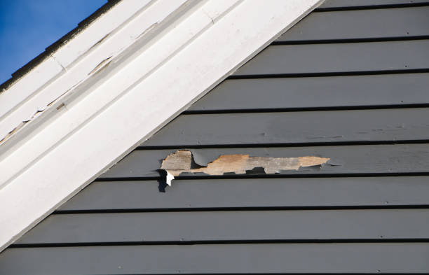 Best Custom Trim and Detailing for Siding  in Lipatria, CA
